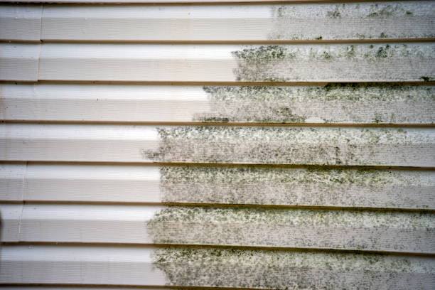 Storm Damage Siding Repair in New Market, AL